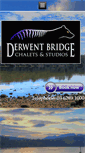 Mobile Screenshot of derwent-bridge.com